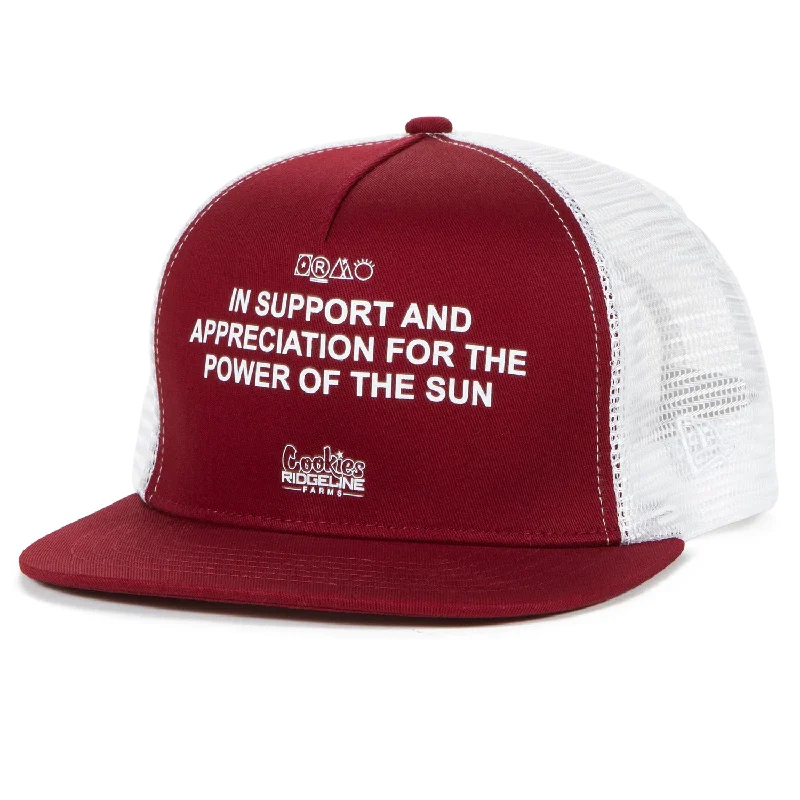 Modern Snapback CapsFamily Trucker
