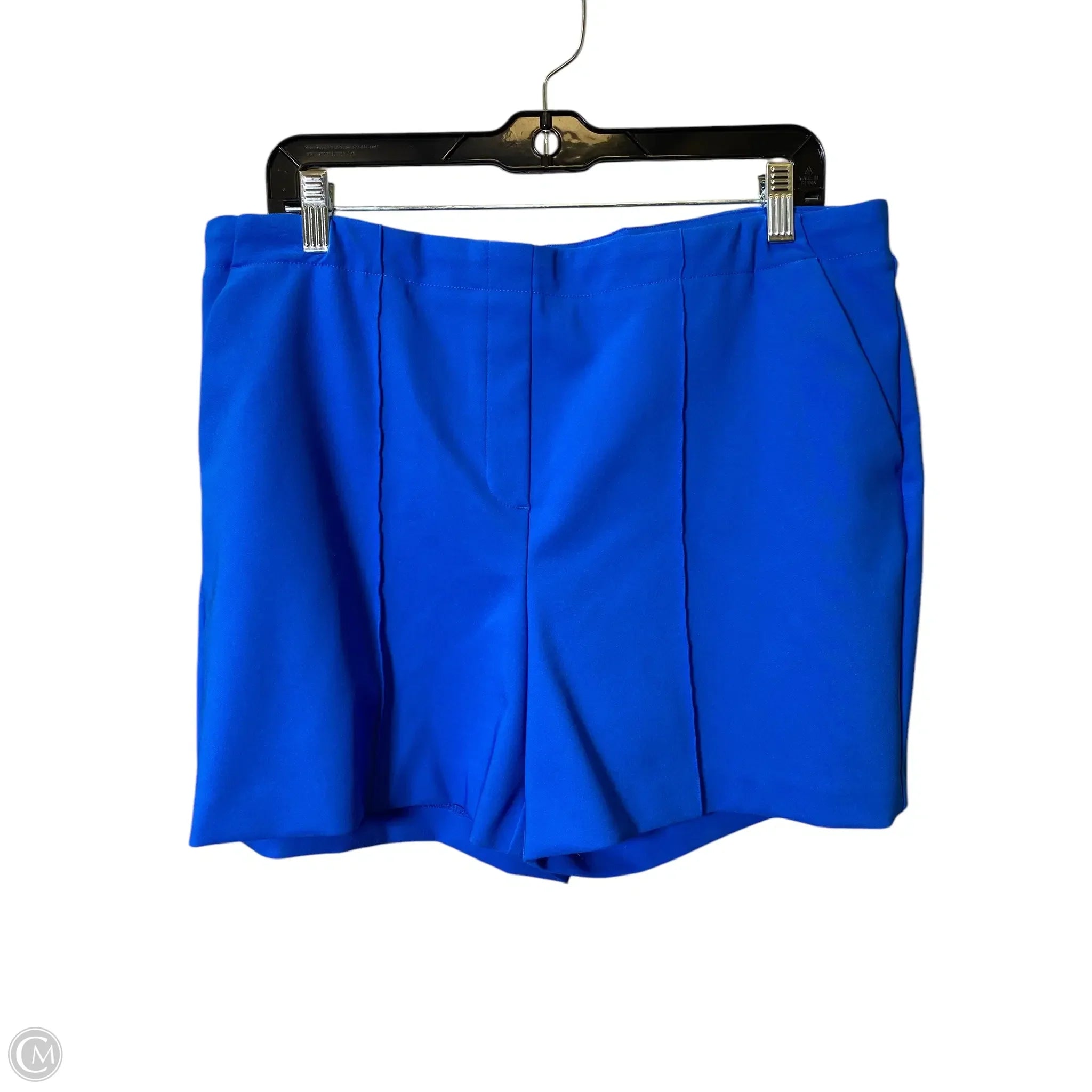 Men's Lightweight Travel and Adventure ShortsShorts By Rachel Zoe In Blue, Size: 14